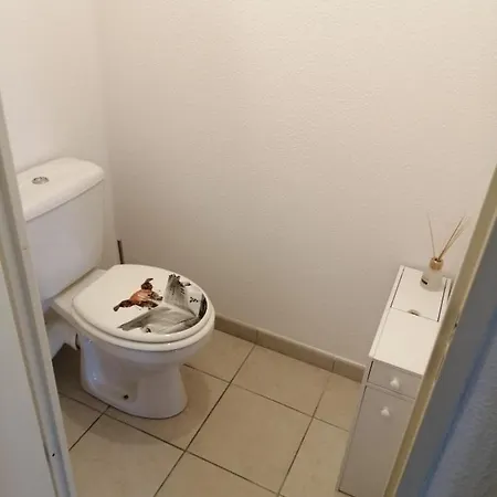 Le Cocon De Marie,Piscine, Balcon, Parking Gratuit, Baignoire Apartment Carcassonne Exterior photo