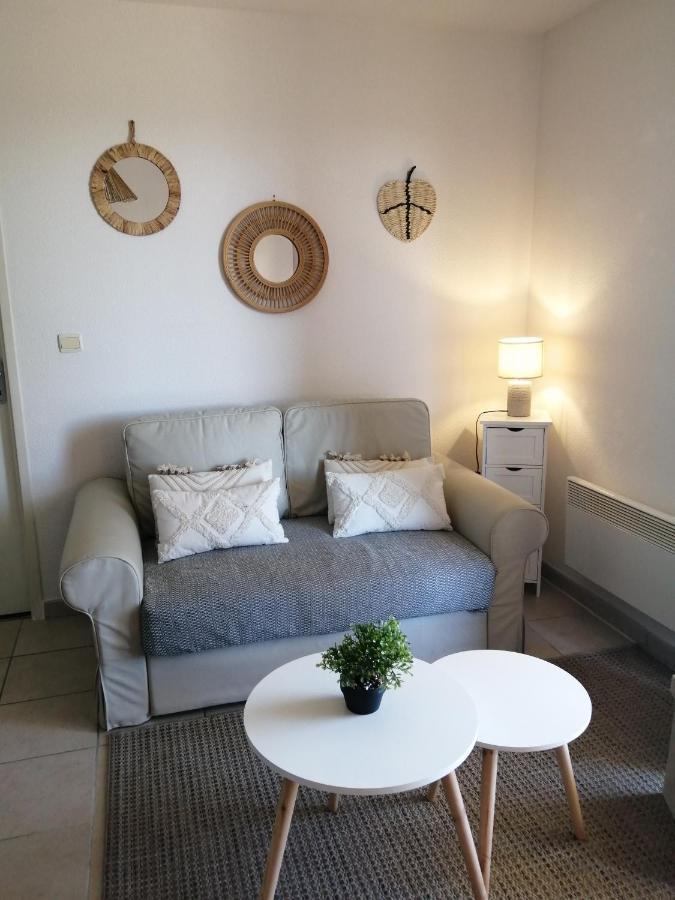 Le Cocon De Marie,piscine, Balcon, Parking Gratuit, Baignoire * Carcassonne
